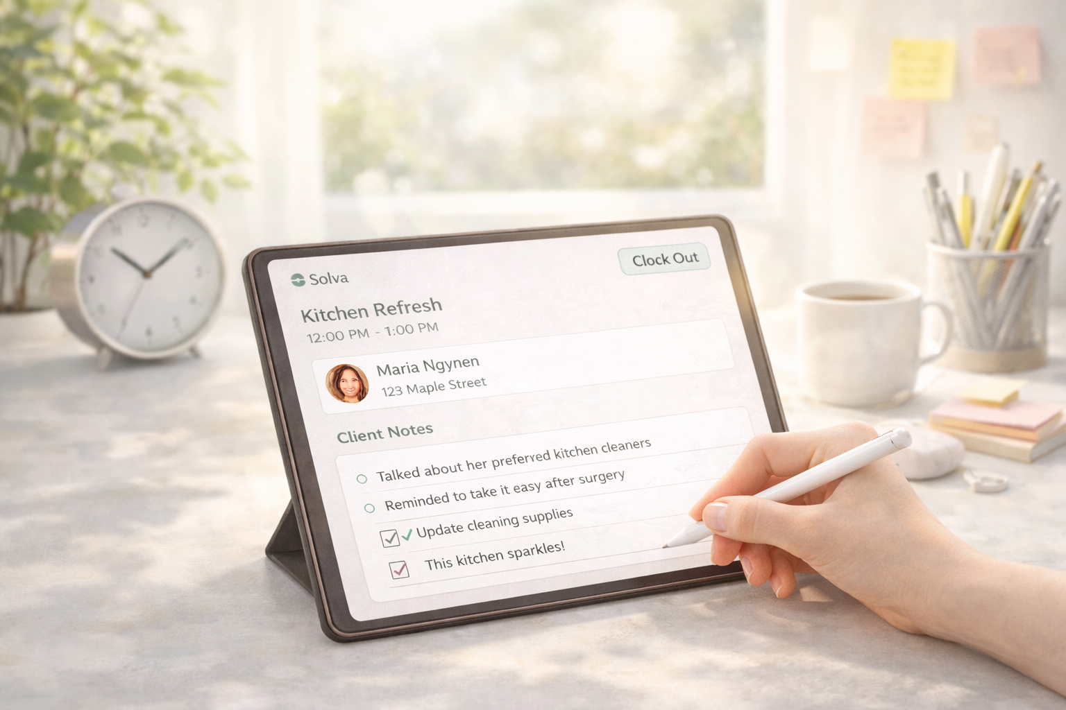 Solva client notes view used during an appointment